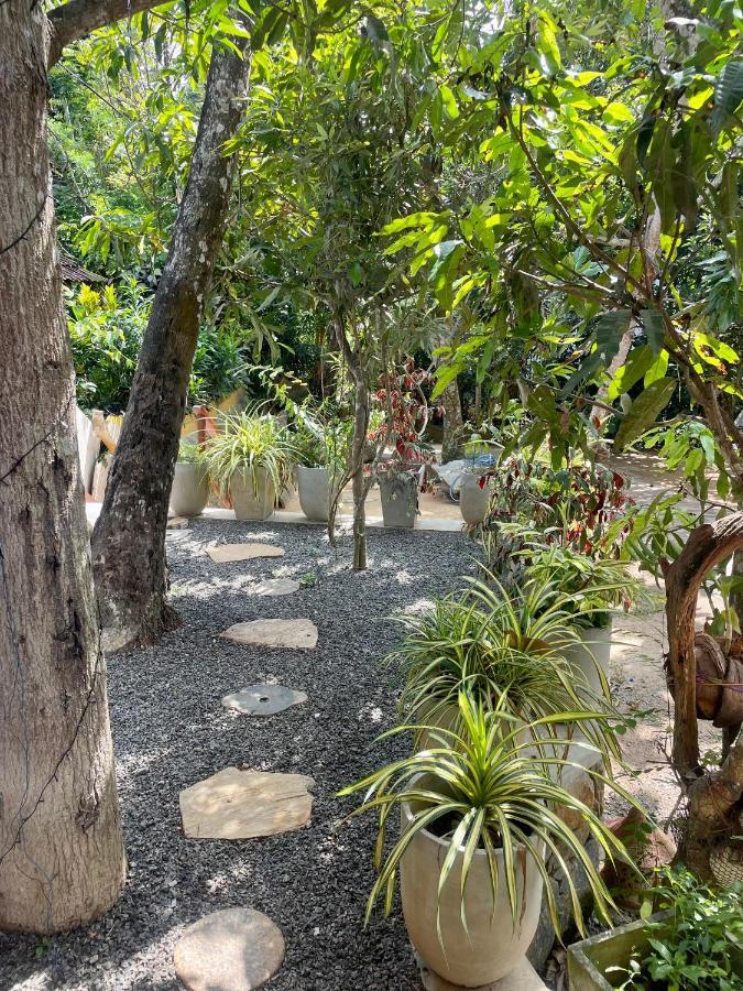 Hotel Jungle Escape Hiriketiya Dikwella Sur Exterior foto